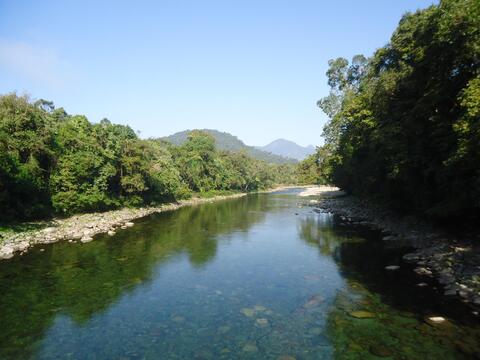 Gasang River